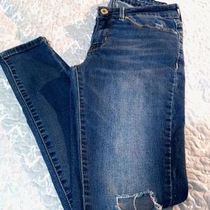 SIGNATURE Women's Jeggins Jeans Size 27 color Blue.